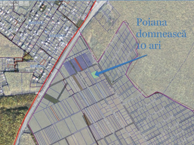 Teren pentru construcții, 10 ari, Poiana Domnească!