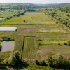 Teren agricol 3,5 ha + sere performante și lac – oportunitate unică! thumb 6