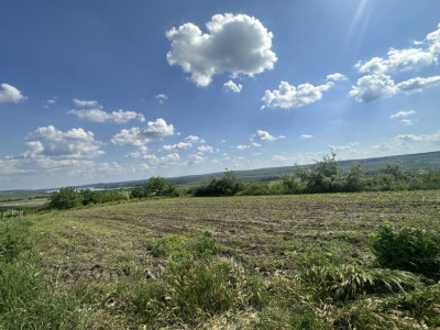 Lot de teren agricol, 38 ari! Strășeni, satul Roșcani!