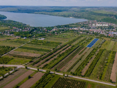 На продажу сельскохозяйственный участок в Ватрa, 30 соток.