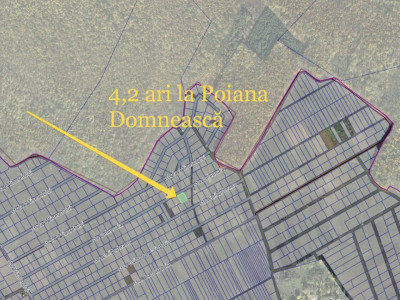 Vânzare teren pentru construcții în Poiana Domnească, lângă pădure, 4,2 ari.