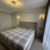 Apartament cu 2 camere de vânzare în complexul Decebal Avenue, Dansicons. thumb 6