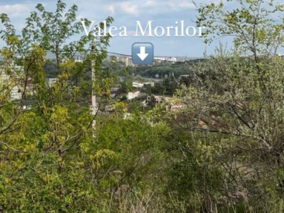 Teren 30 ari cu vedere spre orasul Chisinau, lânga Hora Village!