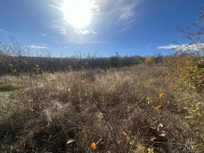 Участок под строительство в продаже в Трушенах!