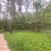 Casă spațioasă lângă pădure, teren 12 ari, 3 etaje + mansardă thumb 5