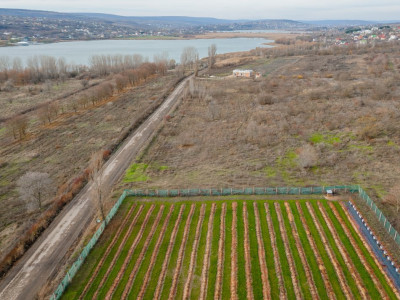 Продается земельный участок 10 соток – Берег озера Дэнчень