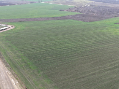 Земельный участок на продажу, сектор Ботаника, район Аэропорта.