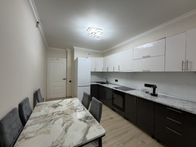 Spre închiriere apartament cu 1 cameră + living, Ciocana, bd. Mircea cel Bătrân 