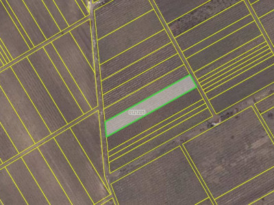 Teren agricol 22 ari or. Durlești, extravilan. Sect 205