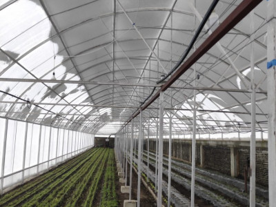 Business activ! 2 Sere finanțate din fonduri europene – Apă/Energie/Beci/Foișor!