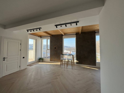 Пентхаус в аренду | Буюканы, ул. Василе Лупу, 1 комната + гостиная