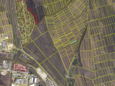 Vanzare teren agricol, extravilan, sat. Ghidighici!